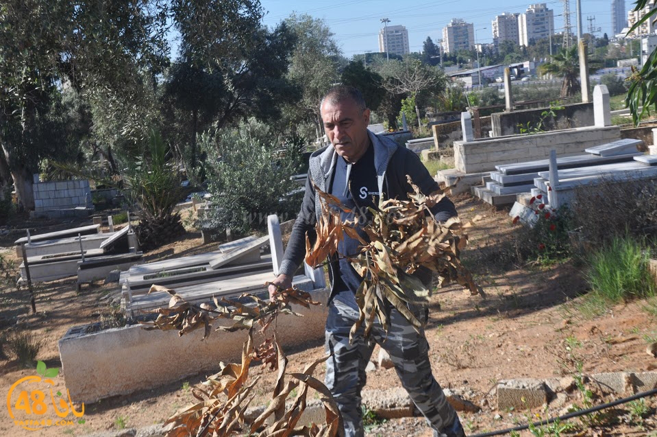 tasohamlalanjna (13).jpg